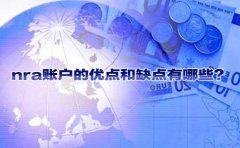 nra賬戶的優(yōu)點(diǎn)和缺點(diǎn)有哪些？