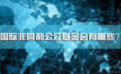 國際非營利公眾基金會有哪些？