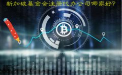 新加坡基金會(huì)注冊(cè)代辦公司哪家好？