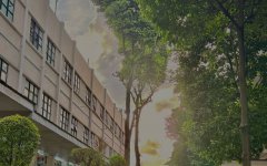 柬埔寨開工廠，難度究竟藏在哪?