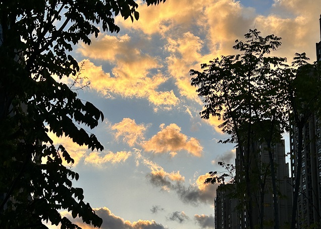 2025上半年，中國企業(yè)出海刷新全球副本：更猛、更強、更聰明