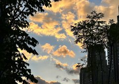 【深度解讀】2025年泰國用工風(fēng)向：合規(guī)+成本雙維度，避免“無知吃虧”的5大雷